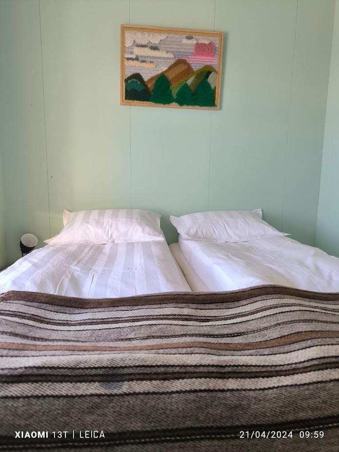Happy-Cove Guesthouse - By The Sea Bakkafjorthur Zewnętrze zdjęcie